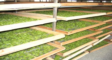 倉(cāng)庫(kù)除濕機(jī)安裝應(yīng)注意的問(wèn)題